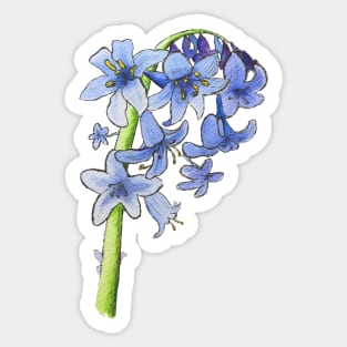 Blooming Bluebells Sticker